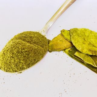 Extrait de feuille de Gymnema Sylvester